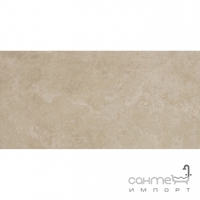 Плитка для підлоги 60x120 Apavisa Evolution G-1486 Beige Natural (бежева)