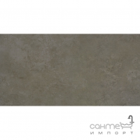 Плитка для підлоги 60x120 Apavisa Evolution G-1496 Moss Natural (темно-коричнева)