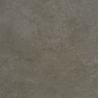 Плитка для підлоги 60x60 Apavisa Evolution G-1368 Moss Lappato (лаппатована, темно-коричнева)