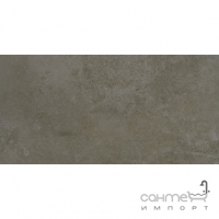 Плитка для підлоги 30x60 Apavisa Evolution G-1298 Moss Lappato (лаппатована, темно-коричнева)