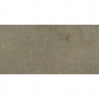 Плитка для підлоги 30x60 Apavisa Lifestone G-1234 Geo Musgo Natural (сіра, матова)