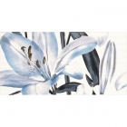 Плитка настенная Fanal Allegro декор Azul Flor 1 глянцевый 25х50