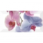 Плитка настенная декор 10х20 Monopole Orchidea-2