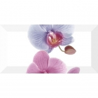 Плитка настенная декор 10х20 Monopole Orchidea-3