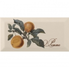 Плитка керамическая декор MONOPOLE Provence Pomme 10x20