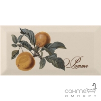 Плитка керамическая декор MONOPOLE Provence Pomme 10x20