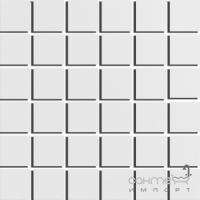 Мозаїка 30x30 Apavisa Fantasy Mosaico 5x5 G-1688 White Natural (біла)