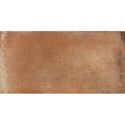 Плитка (30x15) RAKO VIA DARJH713 (коричневый)