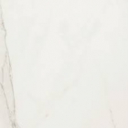 Плитка для підлоги 60х60 Aestetica I Classici Calacatta ZRXMC1R (біла)