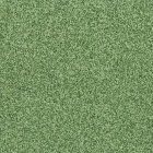 Плитка 20х20 Cerdisa Graniti Verde Alghero 14007 (зеленая)	