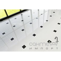 Плитка керамічна для підлоги Pilch Black&White Extra White 60x60