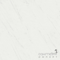 Плитка напольная 50,2х50,2 Kerama Marazzi Борсари белый обрезной (матовая), арт. SG453500R