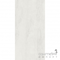 Керамогранітна плитка 40x80 Colli Domus Bianco Silk (біла, напівматова)