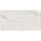 Керамограніт під білий мармур Coem Marmi Bianchi Rett Carrara 37,5x75