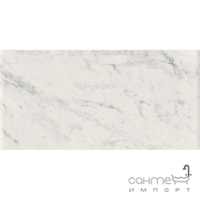 Керамограніт під білий мармур Coem Marmi Bianchi Rett Carrara 37,5x75