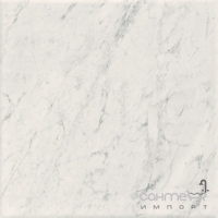 Керамогранит под белый мрамор 60x60 Coem Marmi Bianchi Rett Carrara (матовый)