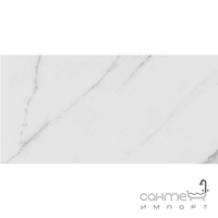 Кермограніт Xclusive Ceramica Colosseum Statuario 30x60 Polished глянсовий