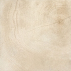 Плитка під дерево 60х60 Provenza W-Age Marrow Bianco Naturale 60651R (матова, ректифікат)