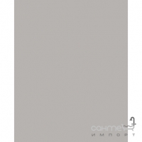 Настінна плитка 20x25 RAKO Color One Grey Сіра Глянець RAL 0607005 WAAG6010