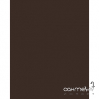 Настінна плитка 20x25 RAKO Color One Dark Brown Коричнева Глянець RAL 0502010 WAAG6671