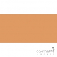 Настінна плитка 20x40 RAKO Color One Dark Orange Помаранчева Глянець RAL 0607050 WAAMB272