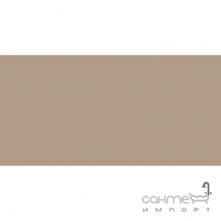Плитка настенная 20x40 RAKO Color One Light Beige-brown Светло-коричневая Глянец RAL 0607020 WAAMB301