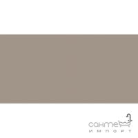 Плитка настенная 20x40 RAKO Color One Beige-grey Серо-бежевая Глянец RAL 0607010 WAAMB302