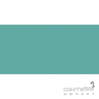 Настінна плитка 20x40 RAKO Color One Turquoise Бірюзова Глянець RAL 1907025 WAAMB457