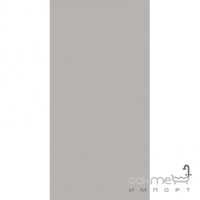 Компактна плитка для підлоги 10x20 Rako Color Two Сіра RAL 0607005 GAAD8110