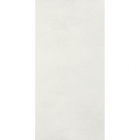 Настенная плитка 29,5x59,5 Paradyz Taiga Silver (матовая, ректифицированная)