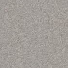 Плитка для підлоги 20x20 RAKO Taurus Granit SRM 76 Nordic Світло-Сіра TRM26076