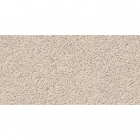 Плитка для підлоги 30x60 RAKO Taurus Granit Rect SRU 73 Nevada Бежева TRUSA073