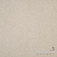 Плитка для підлоги полірована 59,8x59,8 RAKO Taurus Granit TAL61