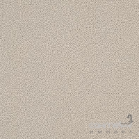 Плитка для підлоги 20x20 RAKO Taurus Granit SRM 61 Tunis Бежева TRM26061