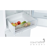 Окремий двокамерний холодильник з нижньою морозильною камерою Bosch Serie 4 KGV36UW206