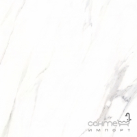 Керамогранит под мрамор 60x60 Stevol Calacatta Белый X6PT01