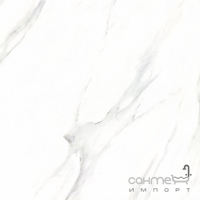 Керамогранит под мрамор 60x60 Stevol Calacatta Белый X6PT01