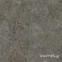 Керамічний граніт для підлоги 60x60 Stevol Granite Grey Сірий 4066