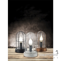 Настільна лампа Trio Birte 503800161 сірий антик
