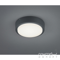 Настенный LED-светильник Trio Breg 227260142 алюминий антрацит/белый