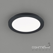 Стельовий LED-світильник Trio Reality Camillus R62921532 чорний матовий
