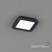 Потолочный LED-светильник Trio Reality Camillus R62931032 черный матовый