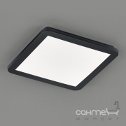 Потолочный LED-светильник Trio Reality Camillus R62931832 черный матовый