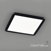 Потолочный LED-светильник Trio Reality Camillus R62932032 черный матовый