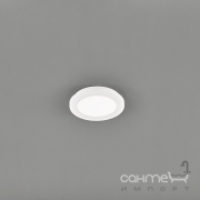 Потолочный LED-светильник Trio Reality Camillus R62921001 белый