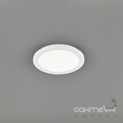 Потолочный LED-светильник Trio Reality Camillus R62921501 белый