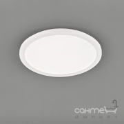 Потолочный LED-светильник Trio Reality Camillus R62922401 белый