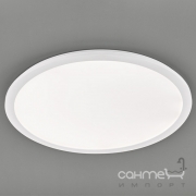 Потолочный LED-светильник Trio Reality Camillus R62923001 белый