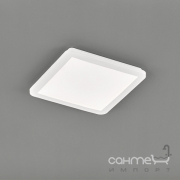Потолочный LED-светильник Trio Reality Camillus R62931801 белый