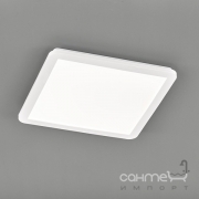 Потолочный LED-светильник Trio Reality Camillus R62932001 белый